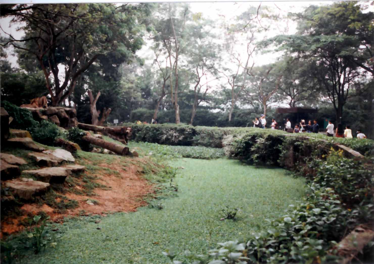 lion moat