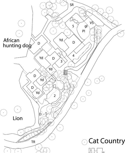 plan of ‘Cat Country’