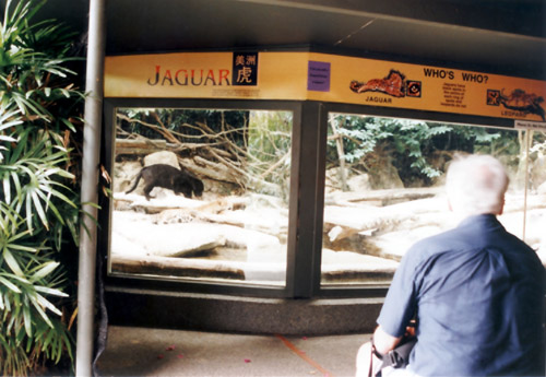 jaguar view