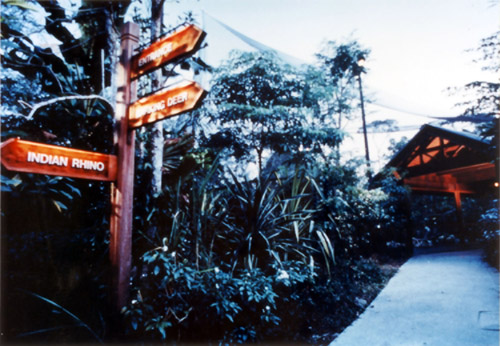signage in ‘Night Safari’