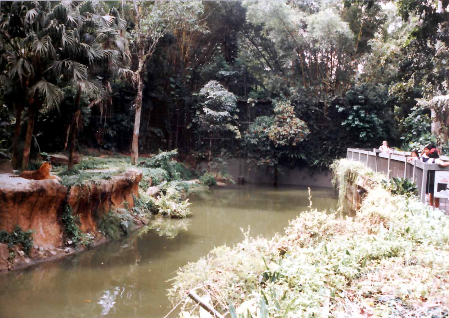 tiger moat
