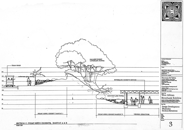 Pygmy hippo exhibit cross section