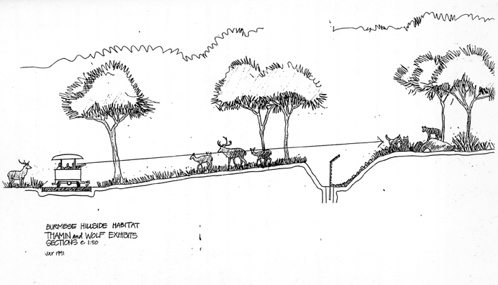Night safari 'Burmese Hillside' Thamin and Wolf