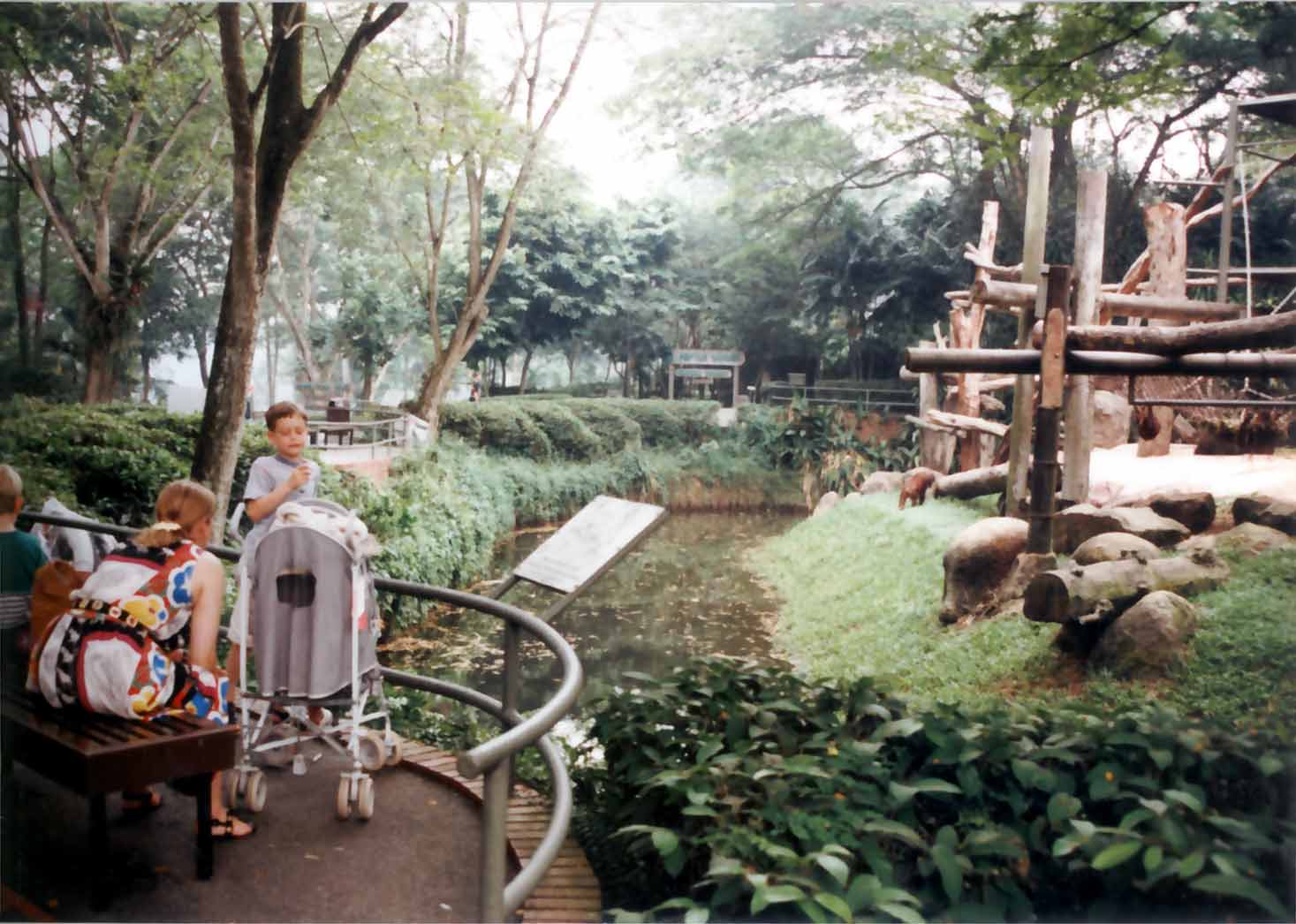 orang utan moat