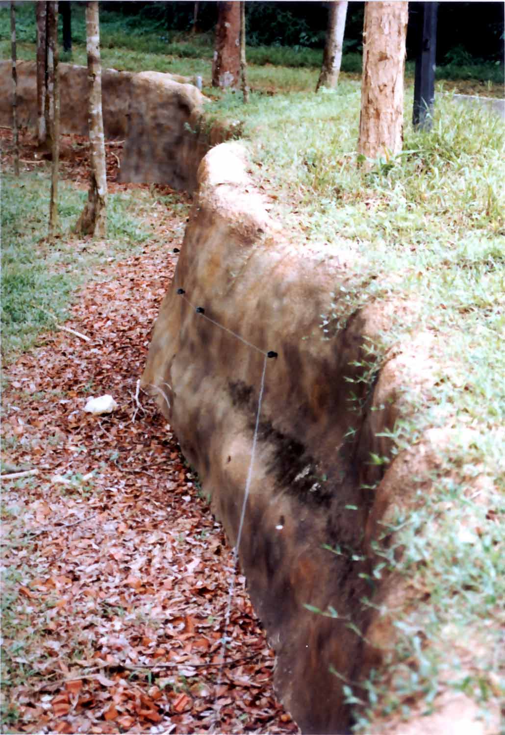 gunite elephant barrier