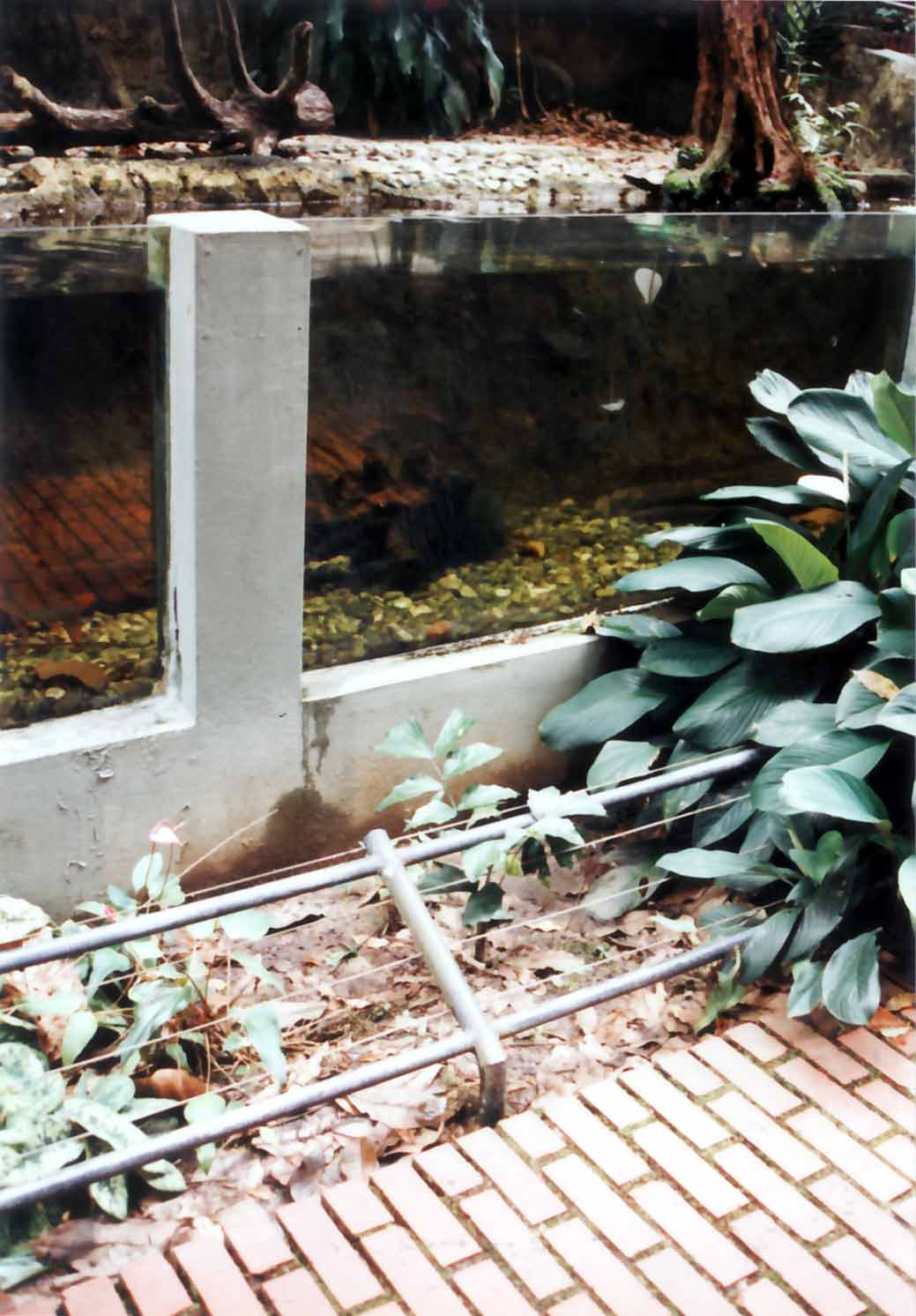keeper worn planter