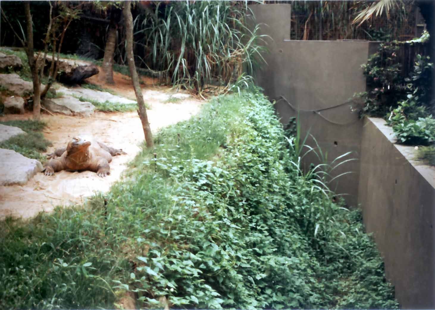 crib wall moat
