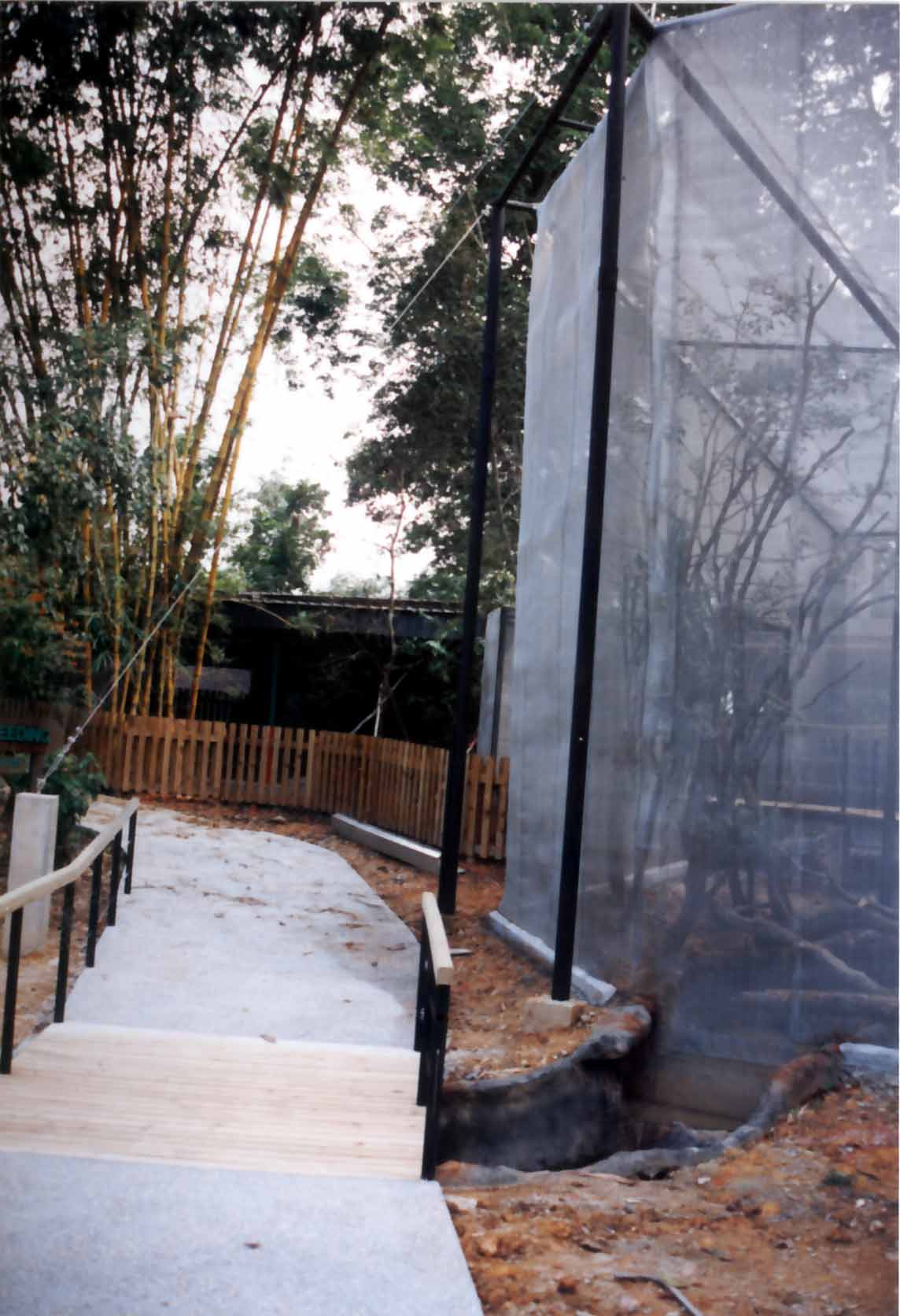 cable-supported cage