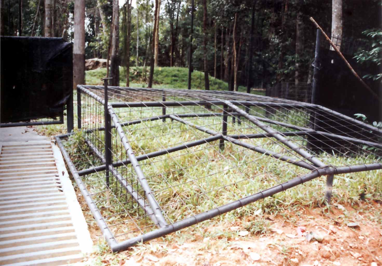 cattle grid