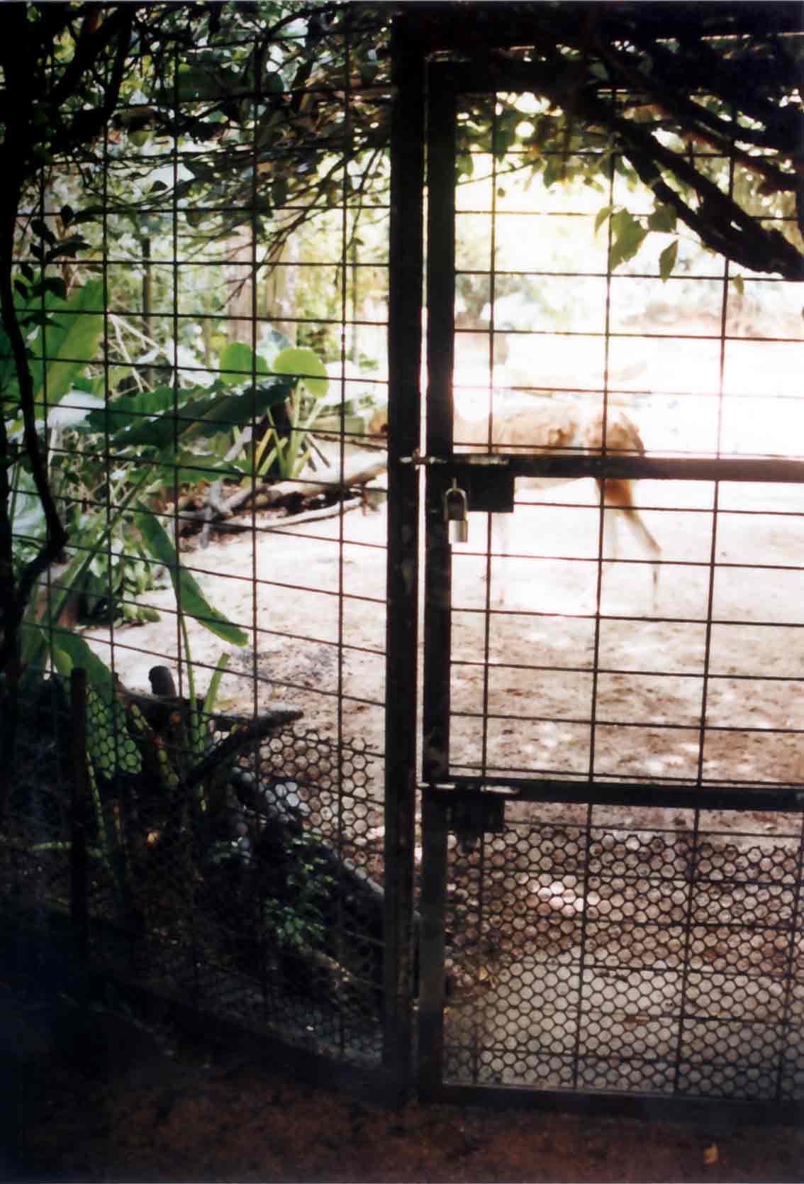 guanaco fence