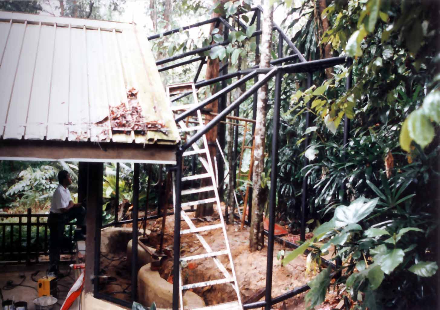 slow loris cage