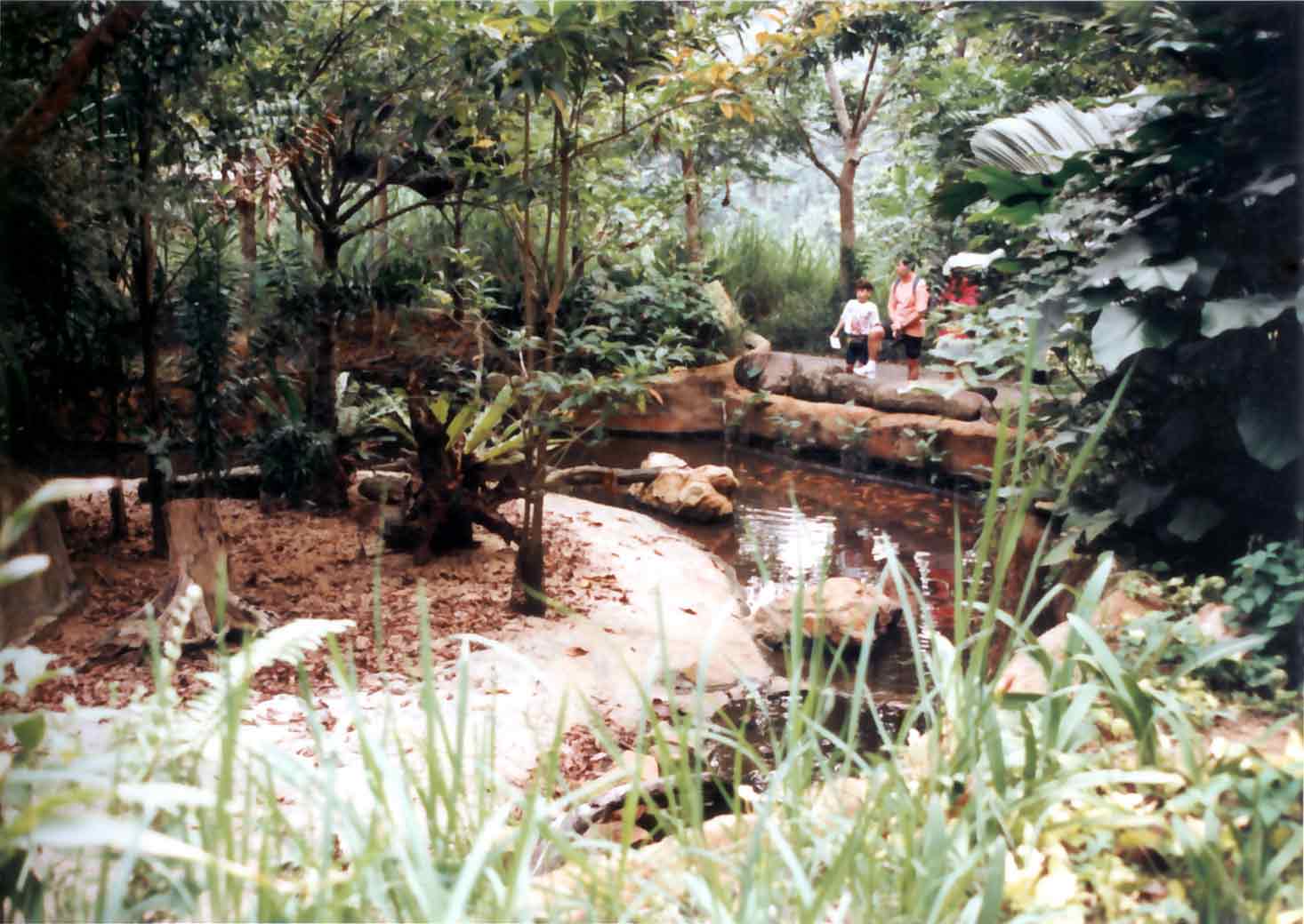 duiker exhibit
