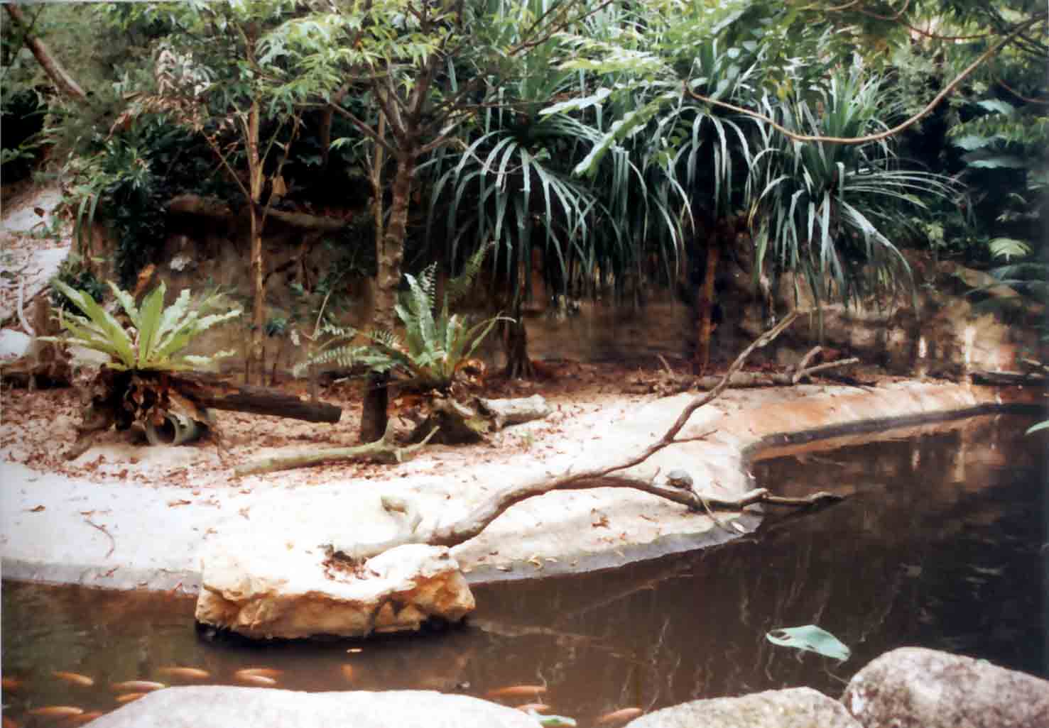 duiker exhibit