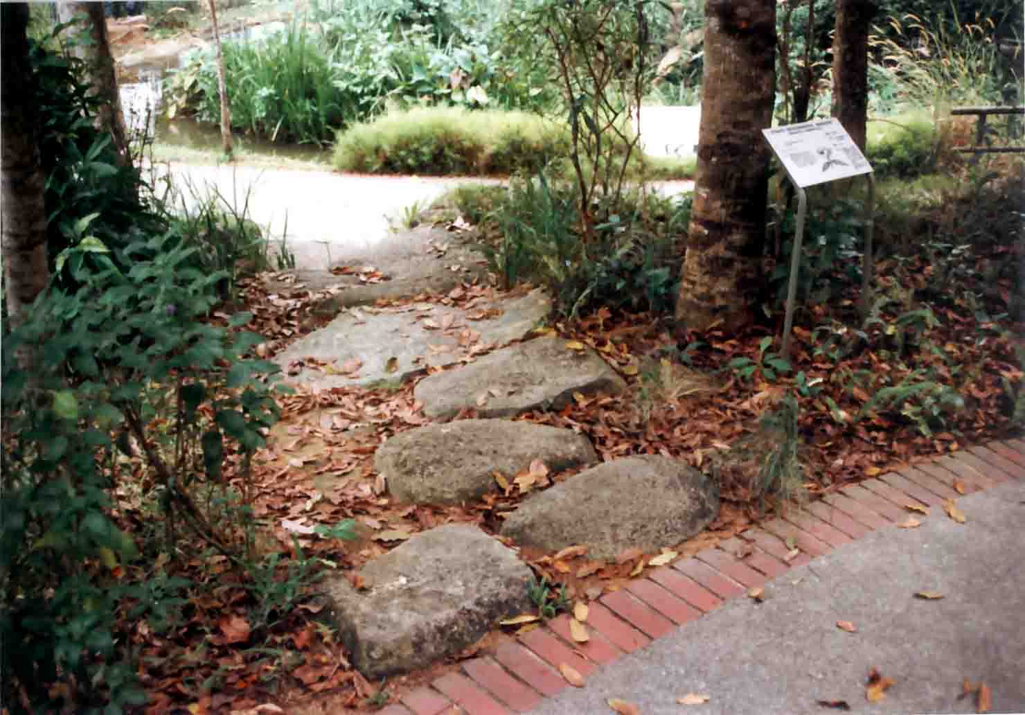 paving