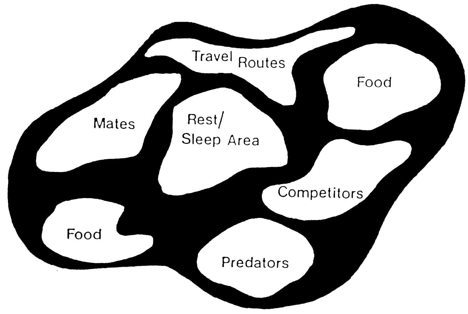 diagram of home range