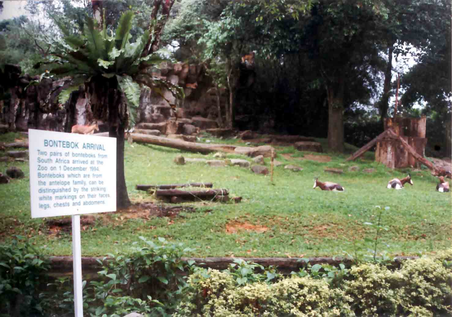 bontebok sign