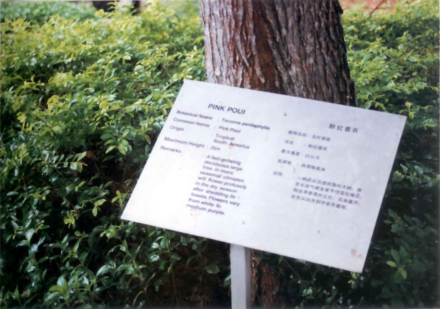 botanical sign