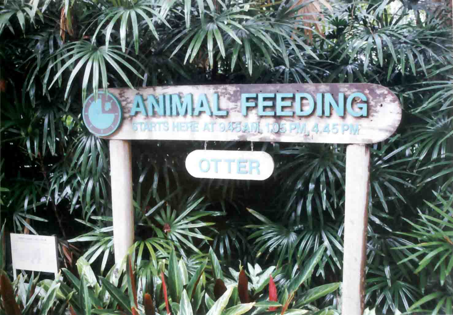 animal feeding times sign