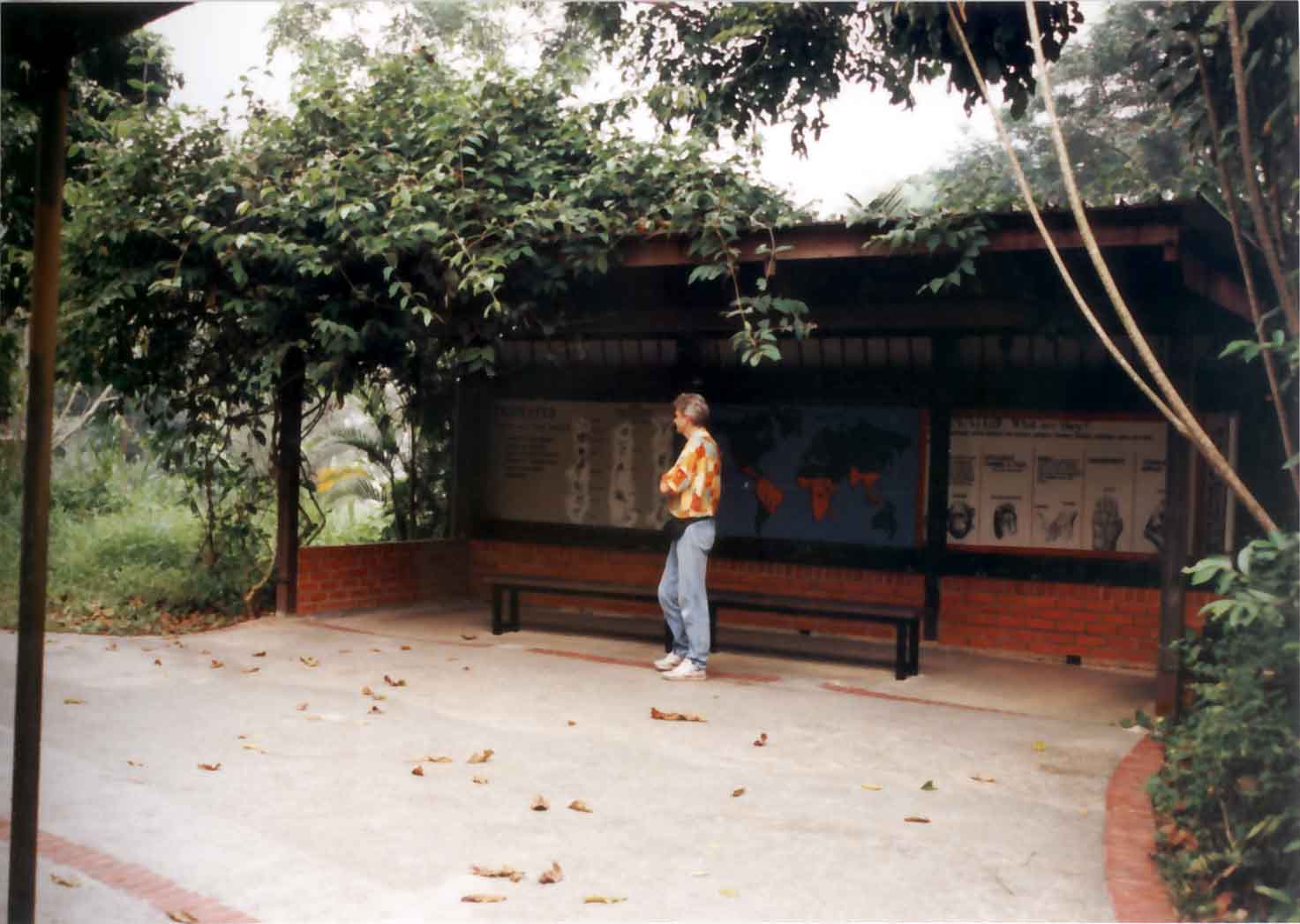 graphics shelter