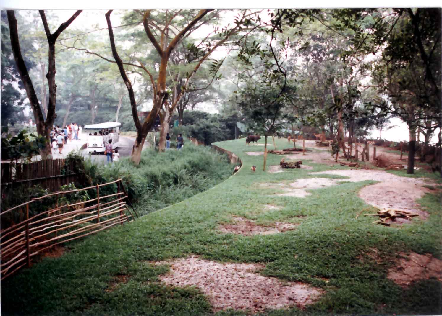 nyala exhibit