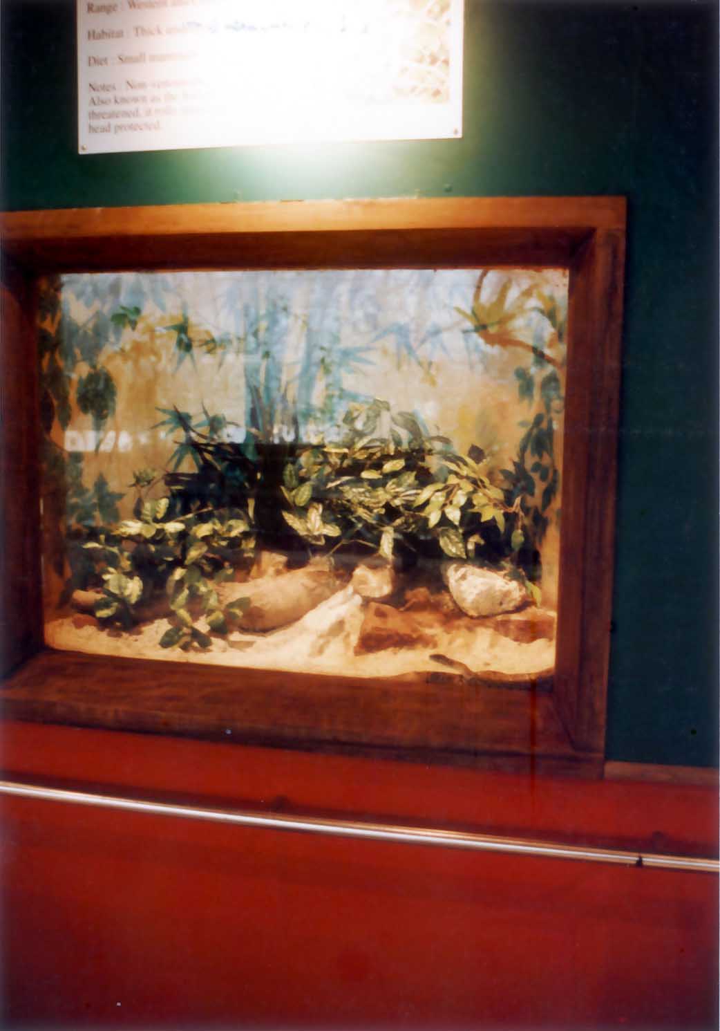 snake jewel box exhibit