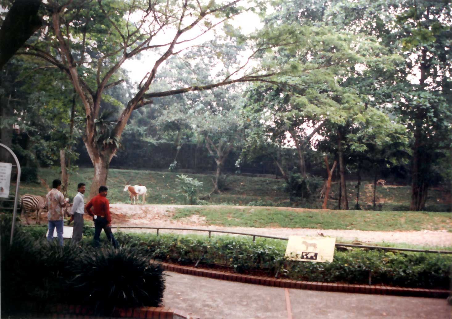 'Hagenbeck' exhibit
