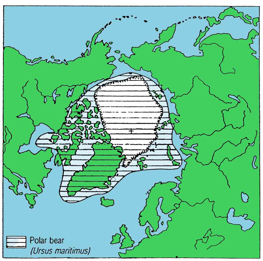 polar bear range map