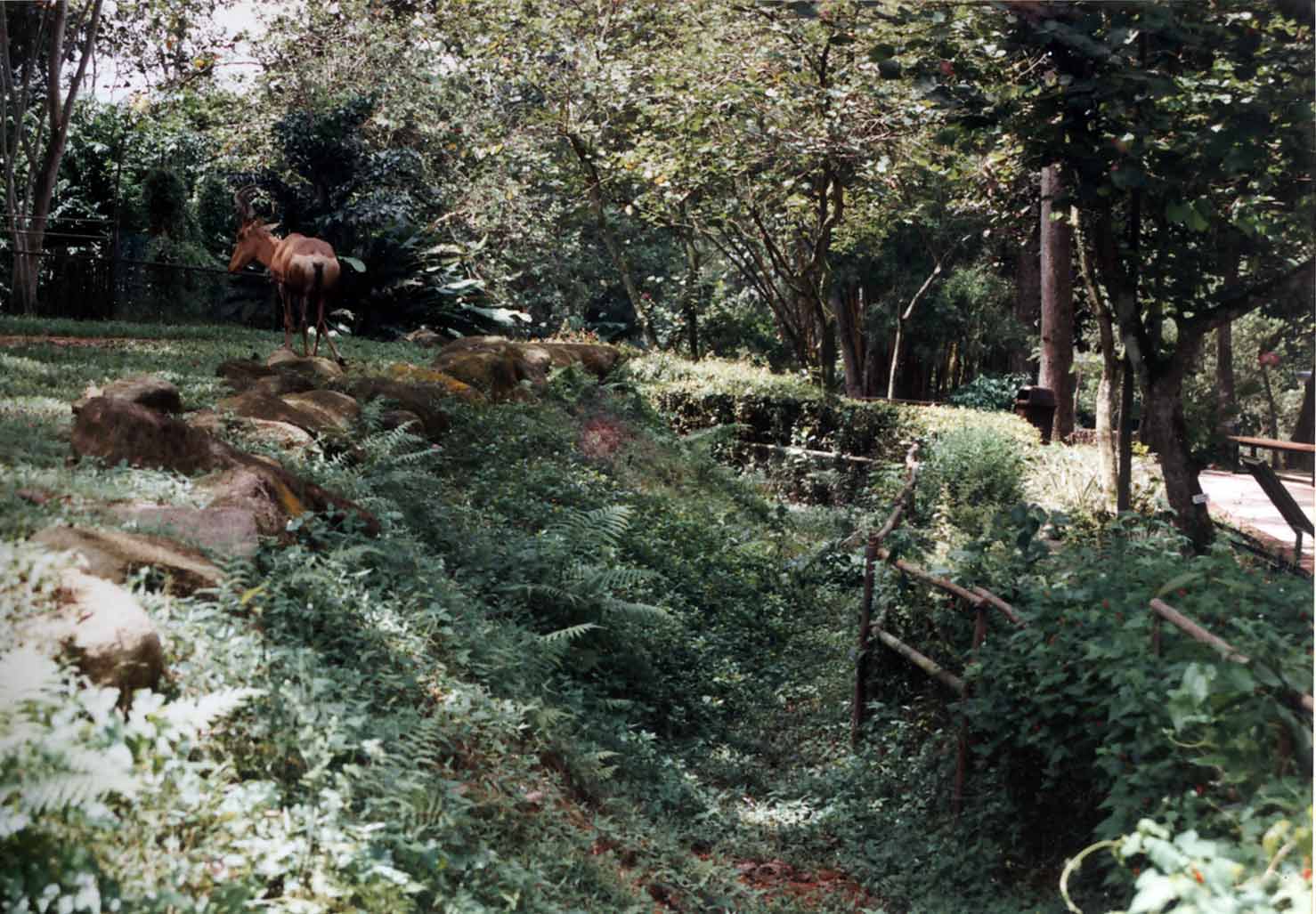 'hartebeest moat