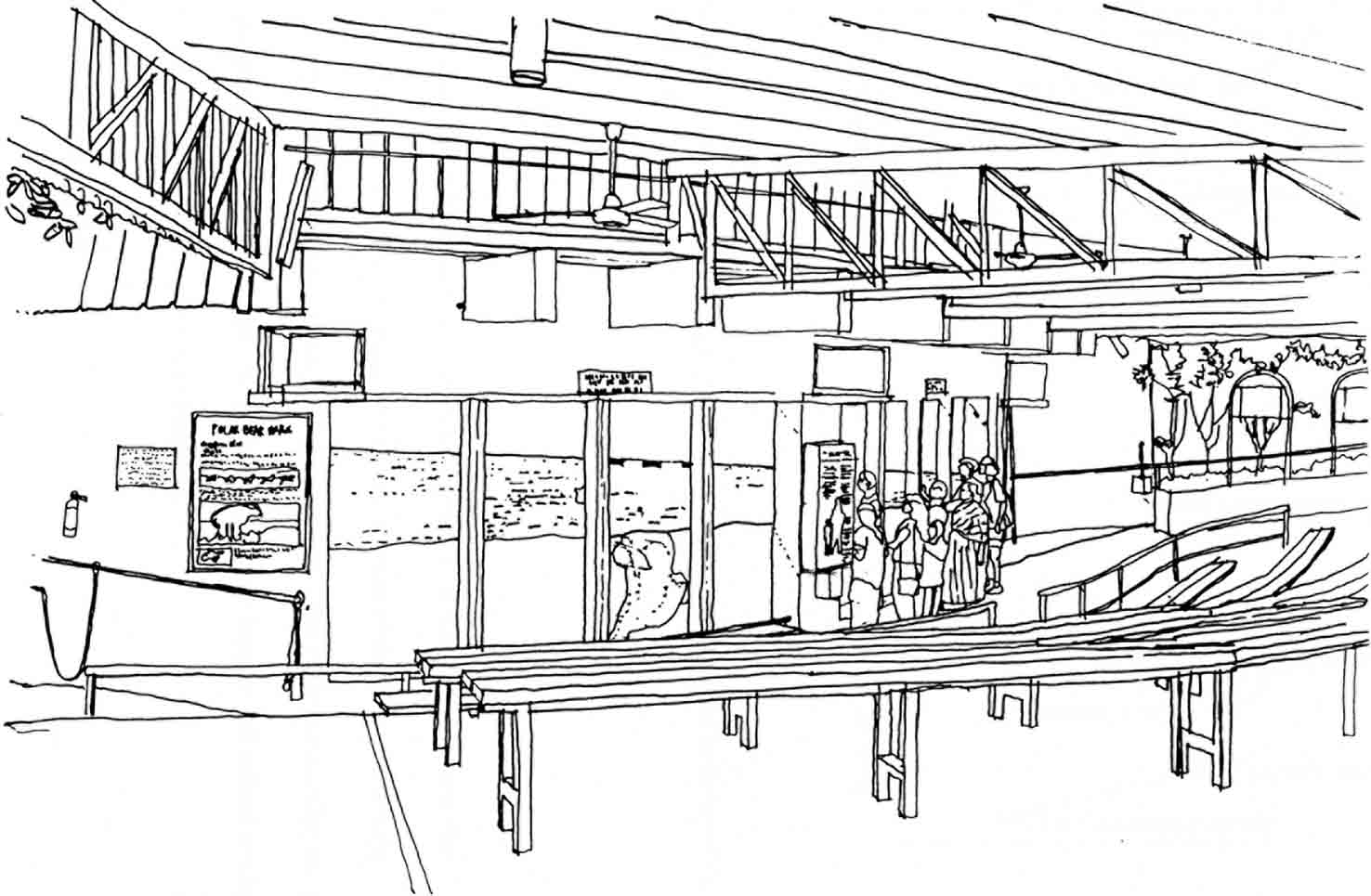 polar bear viewing gallery perspective