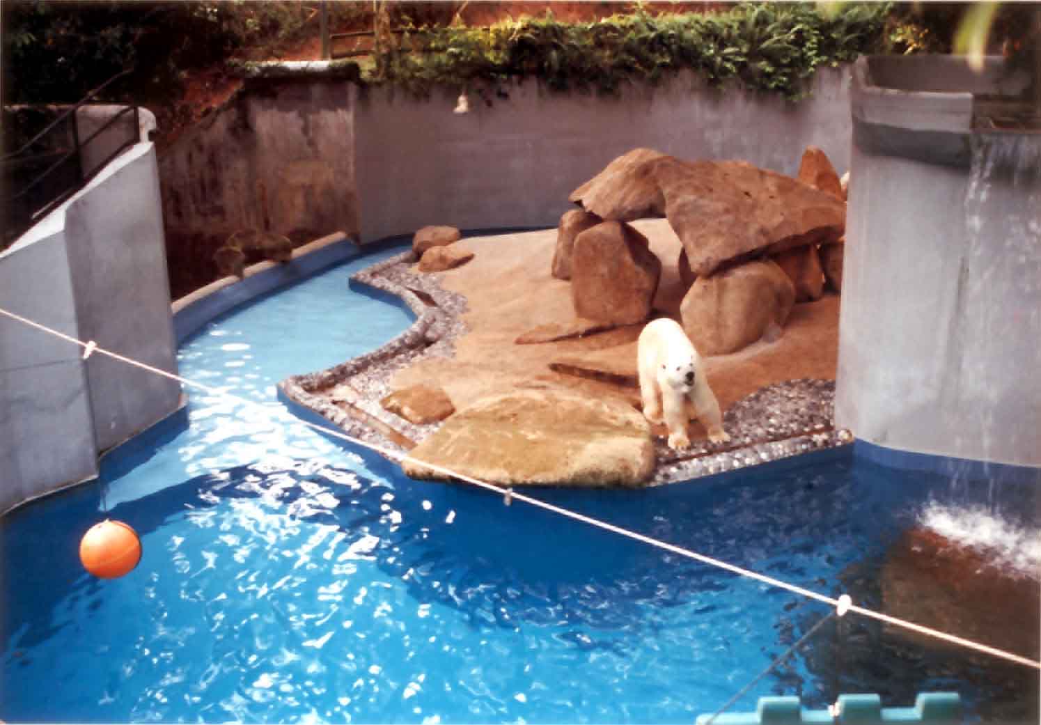 polar bear exhibit