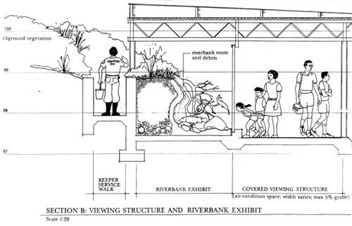 pygmy hippo exhibit section