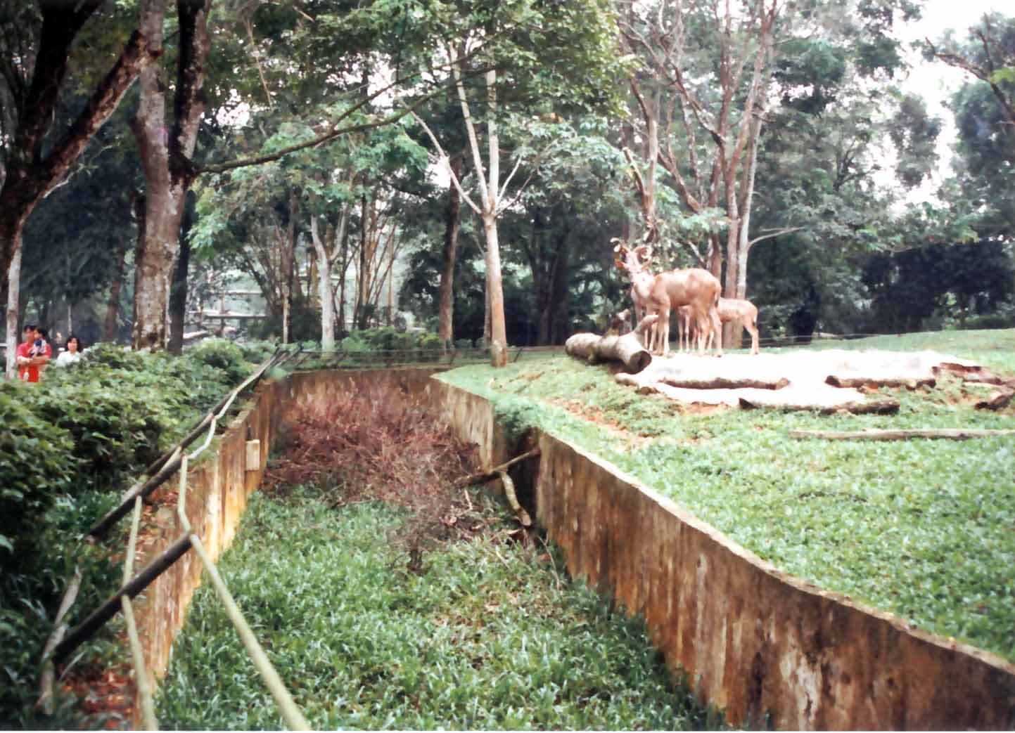 'greater kudu moat