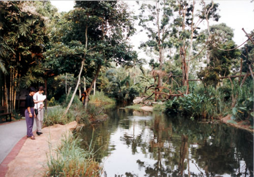silver langur moat