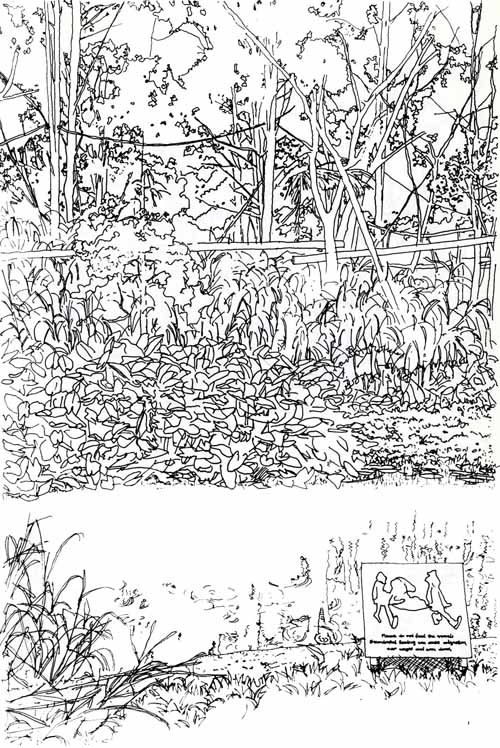 sketch of silver langur exhibit