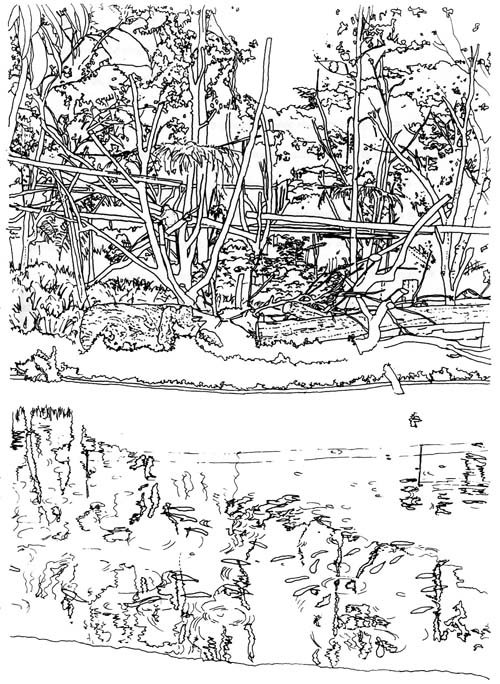 sketch of the colobus and patas exhibit