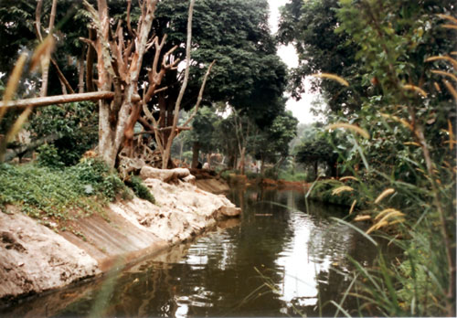 'lion-tailed macaque moat